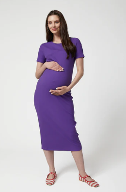 Camille Maternity Dress Purple